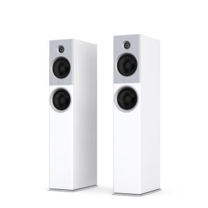 Burmester B18 Floor Standing Loudspeaker